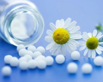 Flowers Image
